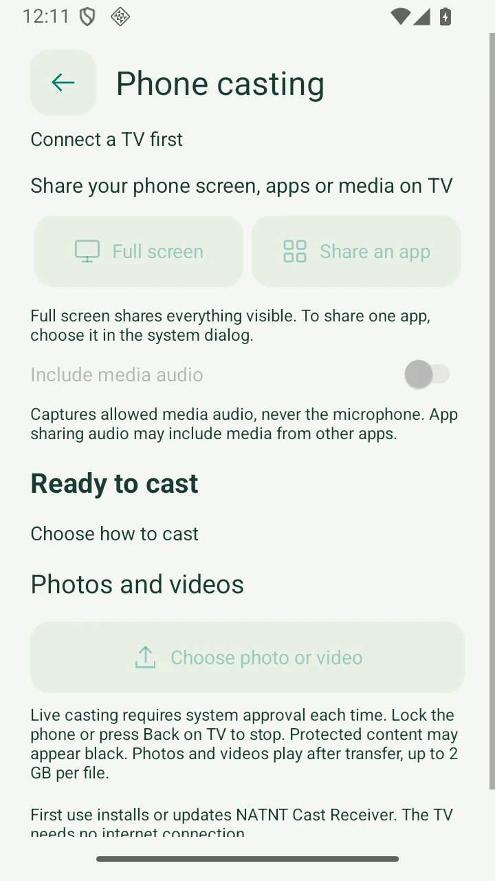 Phone casting and audio settings